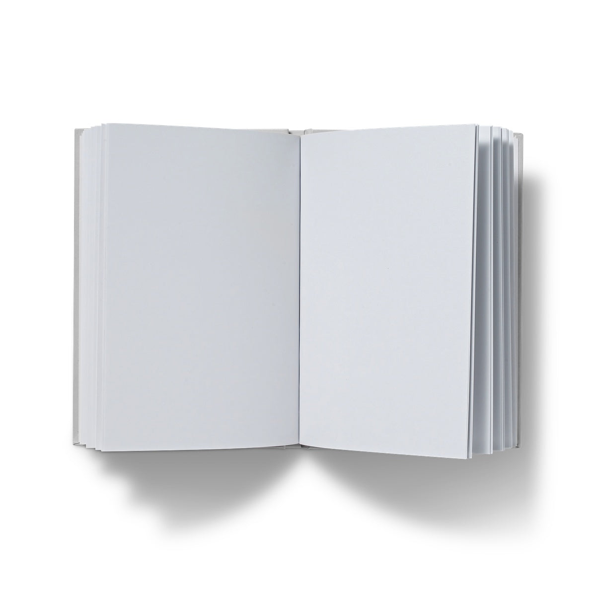 Hardback Notebook (Times I was right and the superintendent took credit)